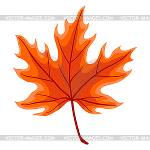 Maple leaf. Decorative autumn foliage - vector image