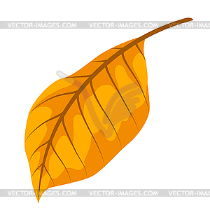 Осенний лист. Декоративная красивая опадающая листва - векторное графическое изображение
