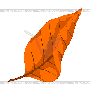 Осенний лист. Декоративная красивая опадающая листва - векторный эскиз