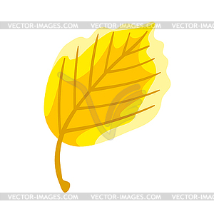 Осенний лист. Декоративная красивая листва - векторный клипарт