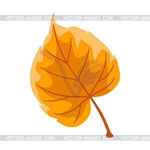 Linden leaf. Decorative autumn foliage - vector image