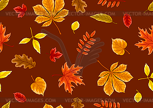 Pattern with autumn leaves. Background with - vector EPS clipart