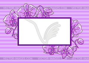 Frame with orchid flowers. Beautiful decorative - vector image