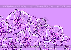 Background with orchid. Beautiful decorative plants - vector clipart