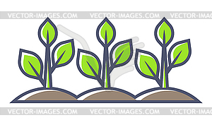 Grown sprouts with leaves. Agricultural, cultivatio - vector clipart