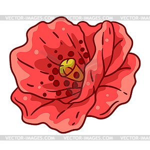Цветок мака. Красивое декоративное растение - векторный графический клипарт