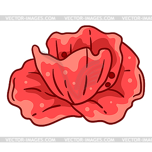 Poppy flower. Beautiful decorative plant - vector clip art