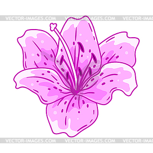 Lily flower. Beautiful decorative plant - vector clip art