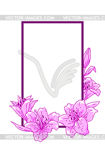 Frame with lilies. Beautiful decorative plants - vector image