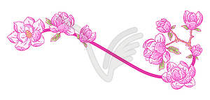 Decoration with magnolia flowers. Beautiful - vector image