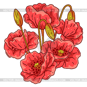 Background with poppies. Beautiful decorative plants - vector clipart