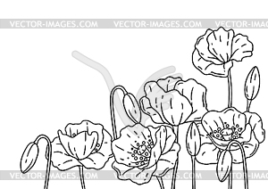 Background with poppies. Beautiful decorative plants - vector image