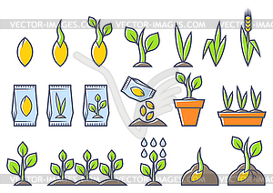 Planting seeds and growing set. Agricultural, - vector image