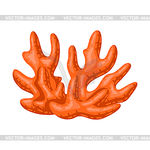 Sea coral. Marine life aquarium and water fauna - vector image