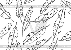 Pattern with banana palm leaves. Decorative tropica - vector clipart / vector image