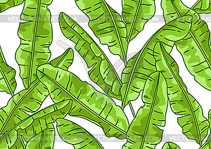 Узор с листьями банановой пальмы. Декоративная тропика - векторная графика