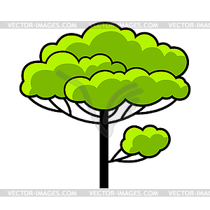 Stylized tree with leaves. or icon for emblem and - vector clipart / vector image