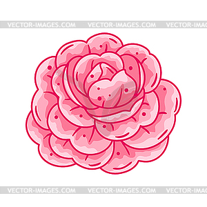 Camellia flower. Beautiful decorative plant - vector clipart