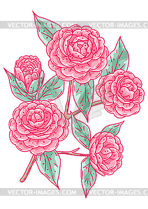 Camellia branch. Beautiful decorative plant - vector clip art