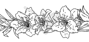 Pattern with lilies flowers. Beautiful decorative - vector image
