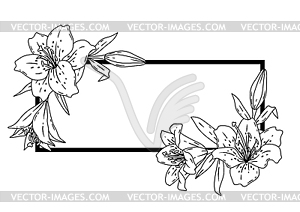 Frame with lilies. Beautiful decorative plants - vector clipart