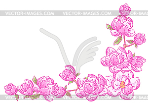 Background with magnolia. Beautiful decorative - vector clipart / vector image