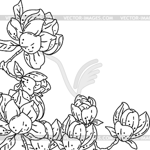 Background with magnolia. Beautiful decorative - vector clip art