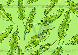 Pattern with banana palm leaves. Decorative tropica - vector image