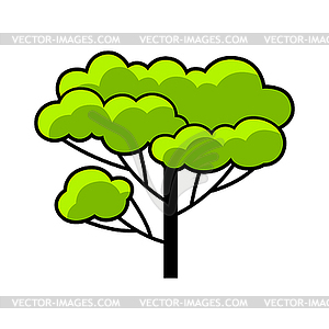 Stylized tree with leaves. or icon for emblem and - vector image
