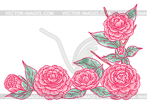 Background with camellia. Beautiful decorative - vector image