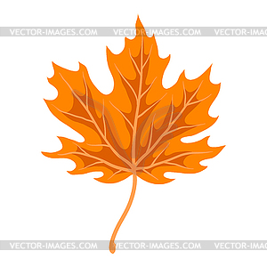 Maple leaf. Decorative autumn foliage - vector clip art