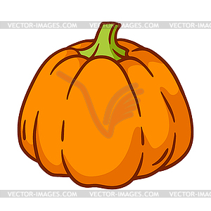 Pumpkin . Autumn harvest of ripe vegetable - vector image