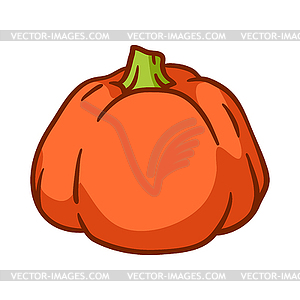 Pumpkin . Autumn harvest of ripe vegetable - vector clipart