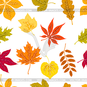 Pattern with autumn leaves. Background with - vector clipart