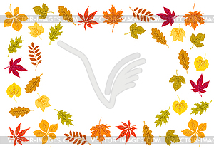 Frame with autumn leaves. Background with various - vector image