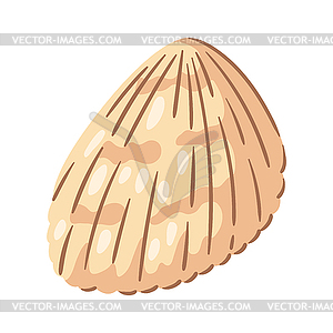 Seashell. Tropical underwater mollusk shell - vector clipart