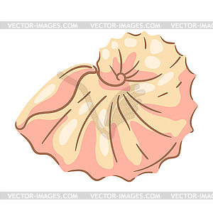 Seashell. Tropical underwater mollusk shell - vector image