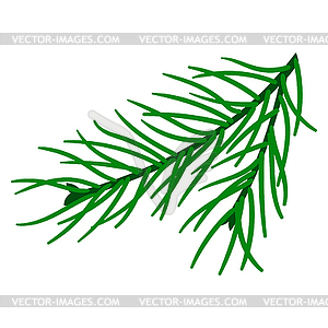 Pine branch. Merry Christmas and Happy New Year - vector image