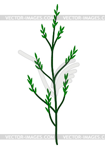 Stylized twig. dry plant - vector clip art