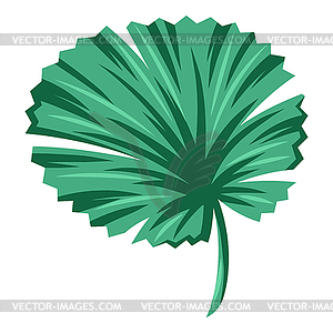 Stylized palm leaf. Decorative tropical foliage - vector image