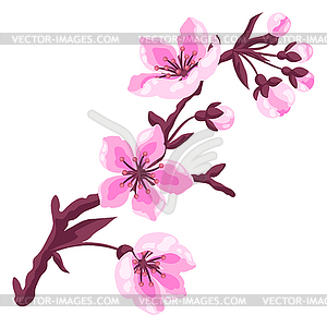 Branch with flower. Apple, sakura or cherry blossom - vector image