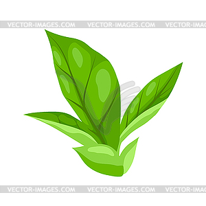 Leaves. Spring or summer stylized foliage - vector image