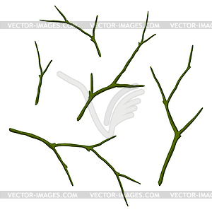 Set of dry bare branches. Decorative natural twigs - vector image