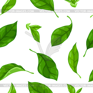 Pattern with leaves. Spring or summer stylized - vector image