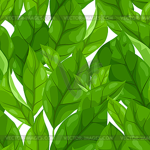Pattern with leaves. Spring or summer stylized - vector clip art