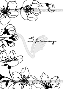 Background with spring flowers. Apple, sakura or - vector clipart