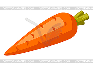 Carrot. Stylized food object for cooking recipe - vector clip art