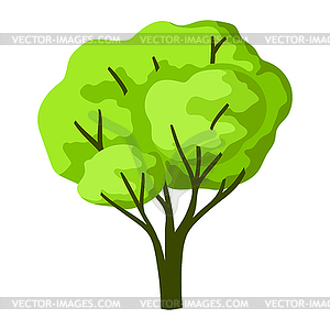 Stylized tree with leaves. Natural summer or - royalty-free vector image