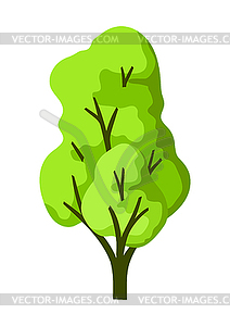 Stylized tree with leaves. Natural summer or - vector clip art