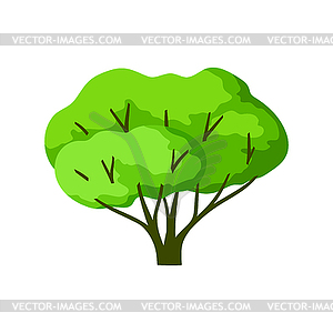 Stylized tree with leaves. Natural summer or - vector image